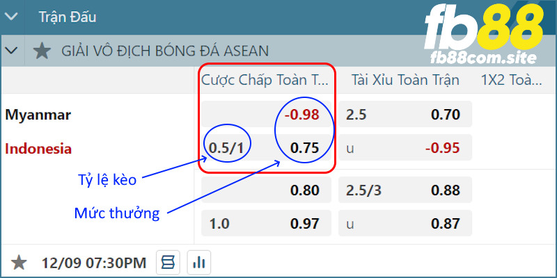 Ví dụ hình thức HDP